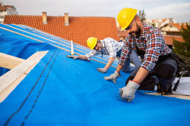 Best Storm Damage Roof Repair  in Maple Lake, MN